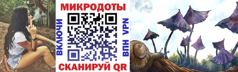 Псилоцибиновые грибы Psilocybine cubensis  Камешково 